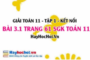 Bài 3.1 SGK Toán 11 tập 1 Kết nối tri thức